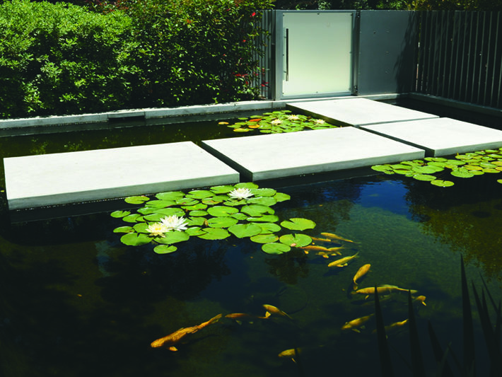 Concrete Steps Crossing Lilypad Pool